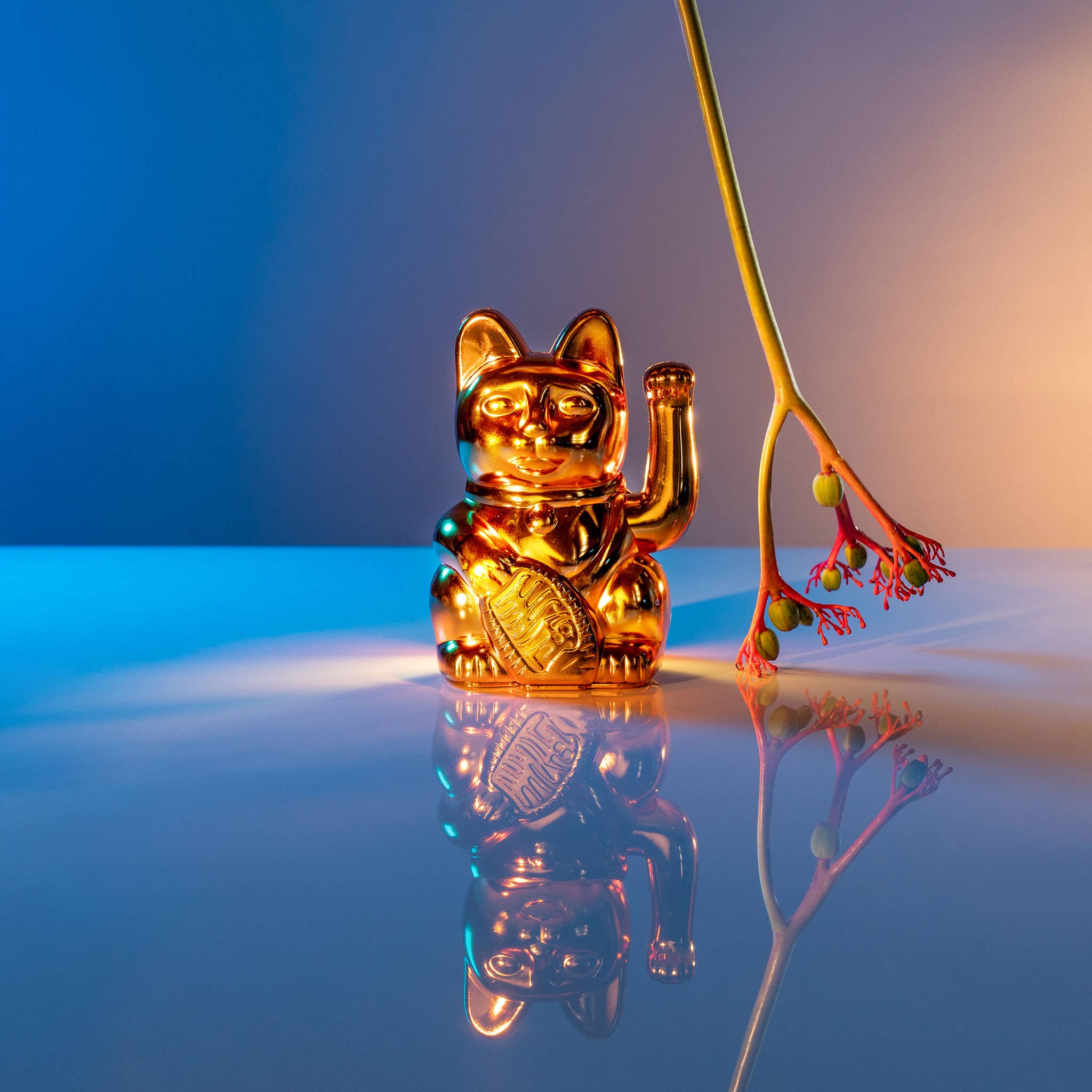 DONKEY - Lucky Cat Cosmic Mars Shiny Copper | found